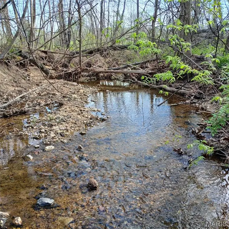 8319 Highway 21, Ironton, MO 63650 - #1