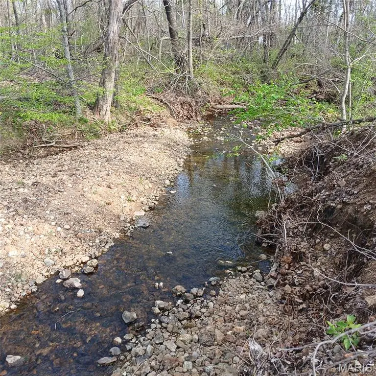 8319 Highway 21, Ironton, MO 63650 - #2