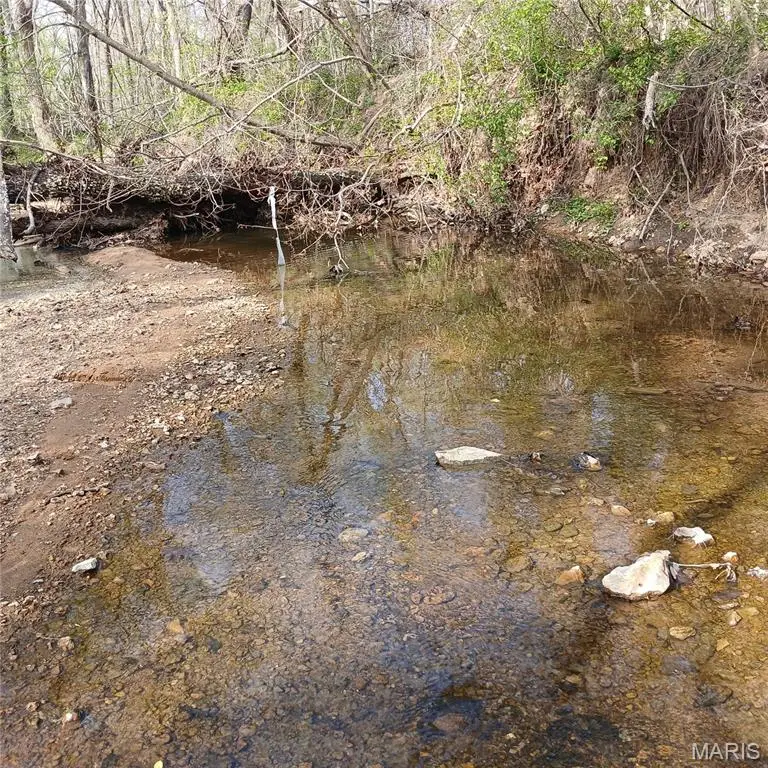 8319 Highway 21, Ironton, MO 63650 - #3