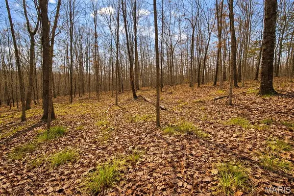 000 M- Apache Trail, Raymondville, MO 65555