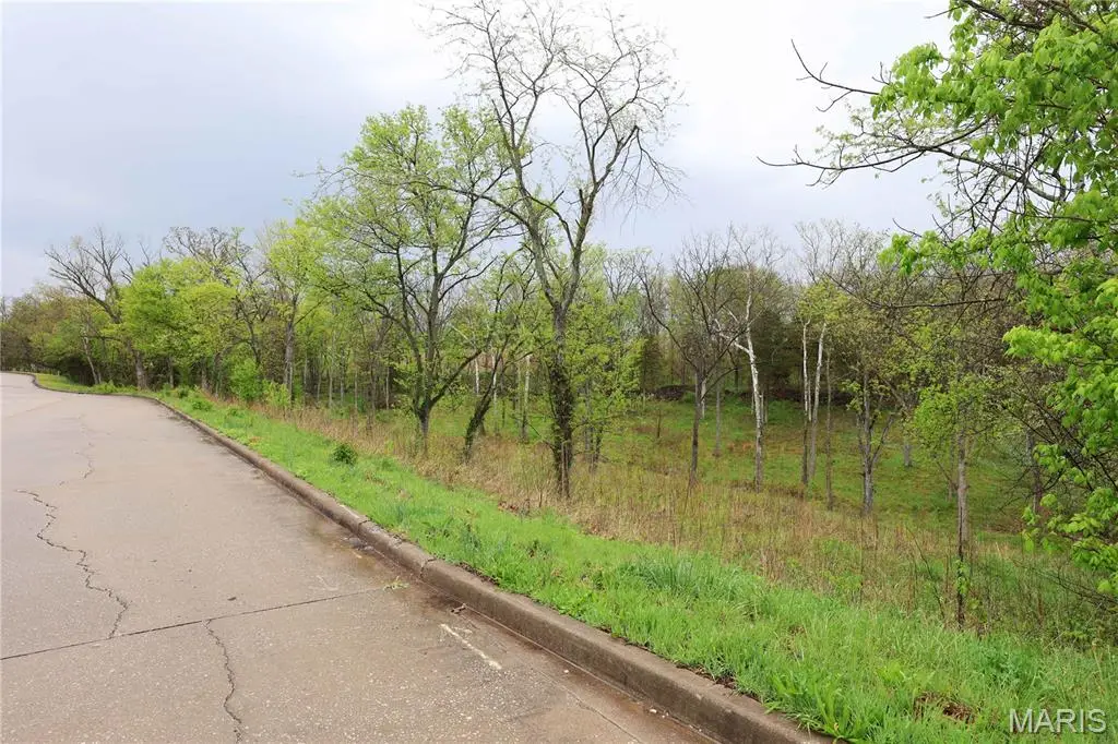 Lot 12,13,14 Dorothy Dr, Perryville, MO 63775 - #1