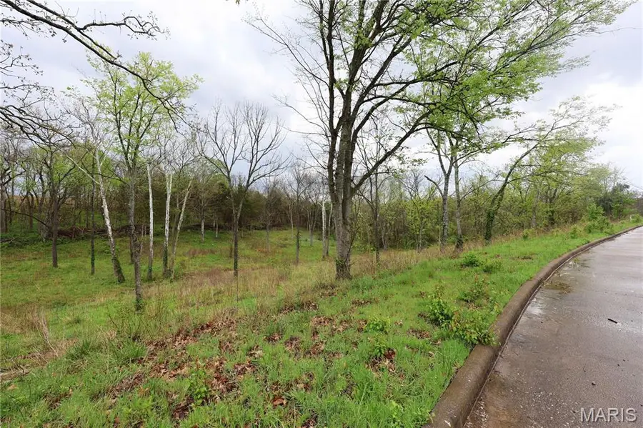Lot 12,13,14 Dorothy Dr, Perryville, MO 63775 - #3