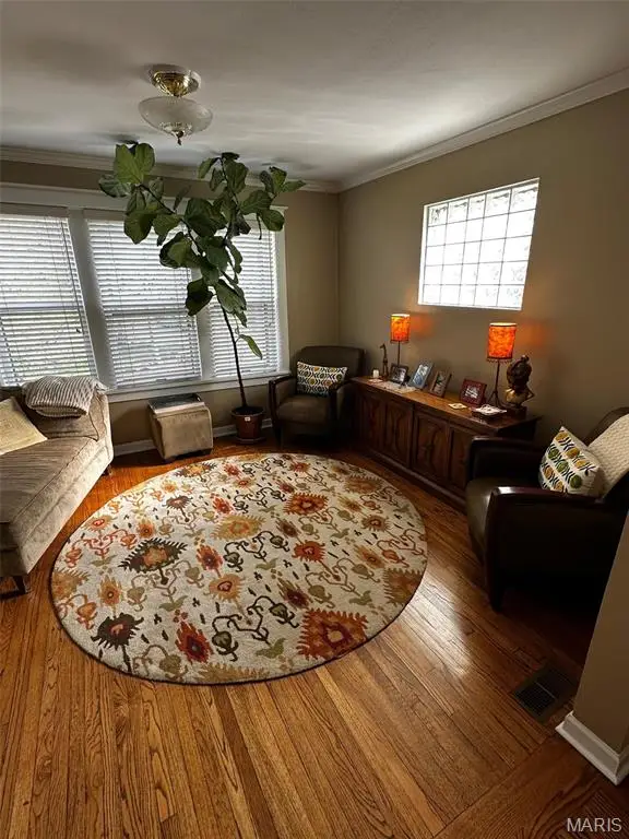 1445 Rankin Drive, Saint Louis, MO 63117 - #2