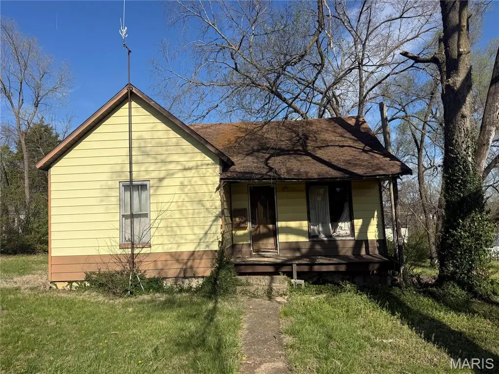 802 Tyler Street, Park Hills, MO 63601 - #1