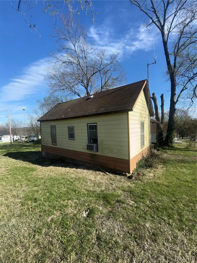 802 Tyler Street, Park Hills, MO 63601 - #2