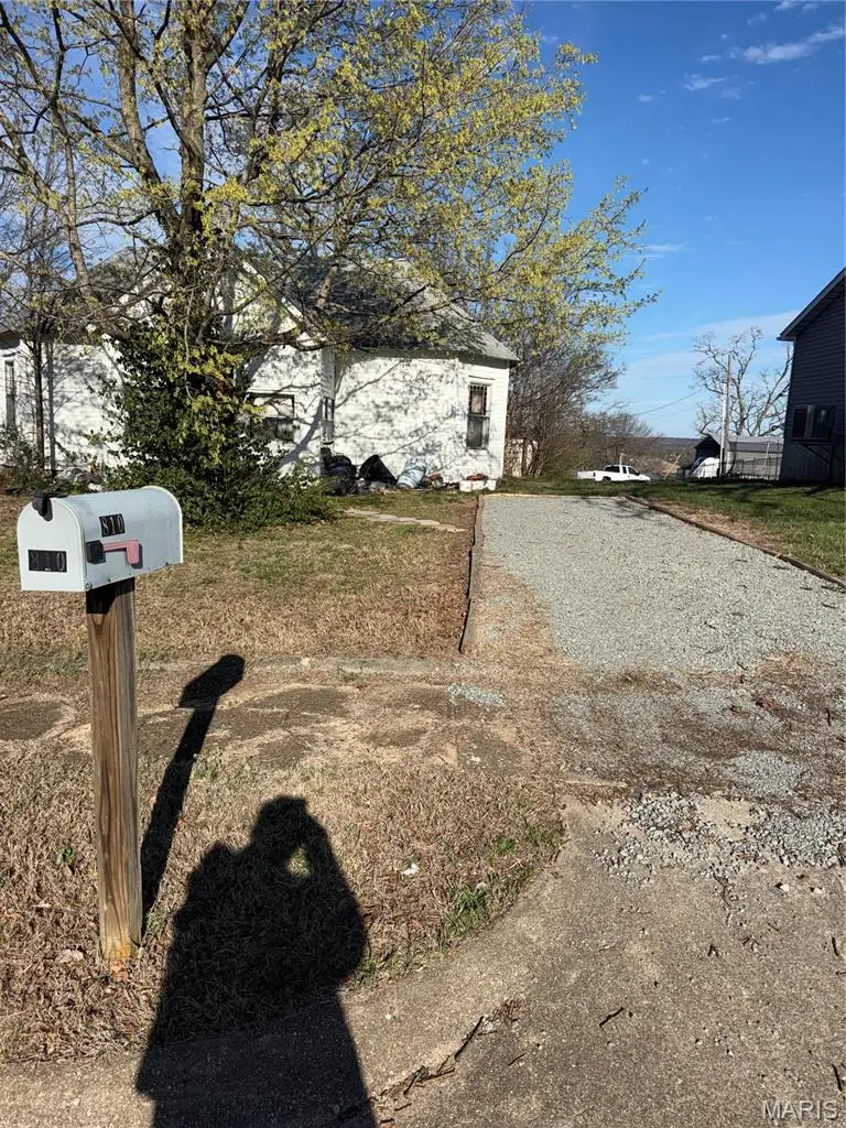 810 Tyler Street, Park Hills, MO 63601 - #1