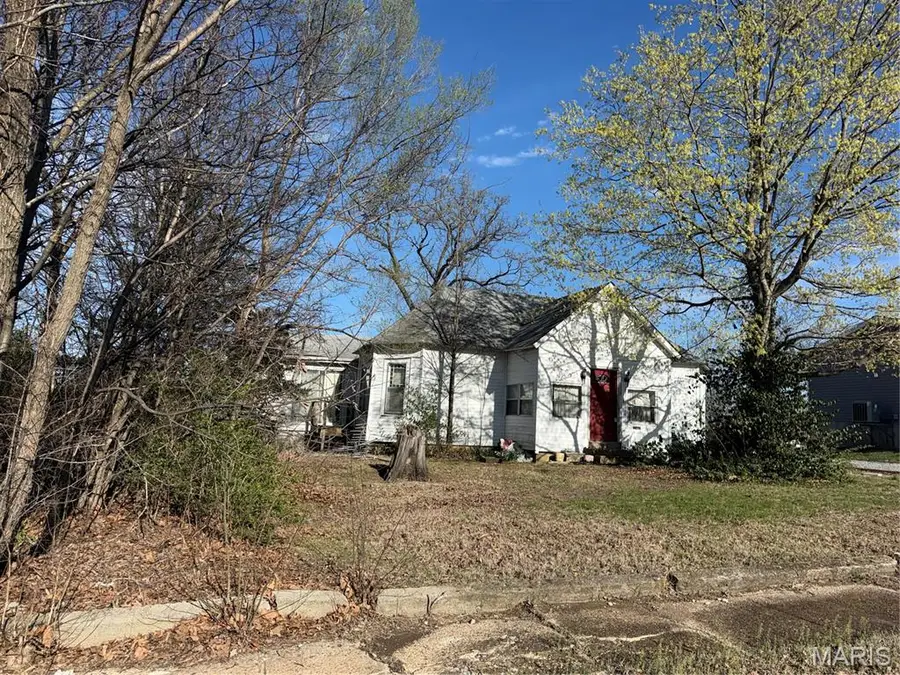 810 Tyler Street, Park Hills, MO 63601 - #2