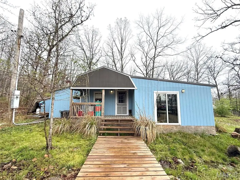 1010 Mead Lane, Ironton, MO 63650 - #1