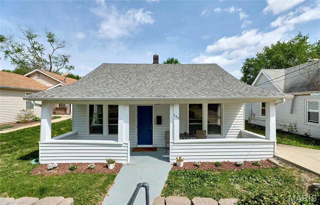 125 Lithia Avenue, Webster Groves, MO 63119 - #1
