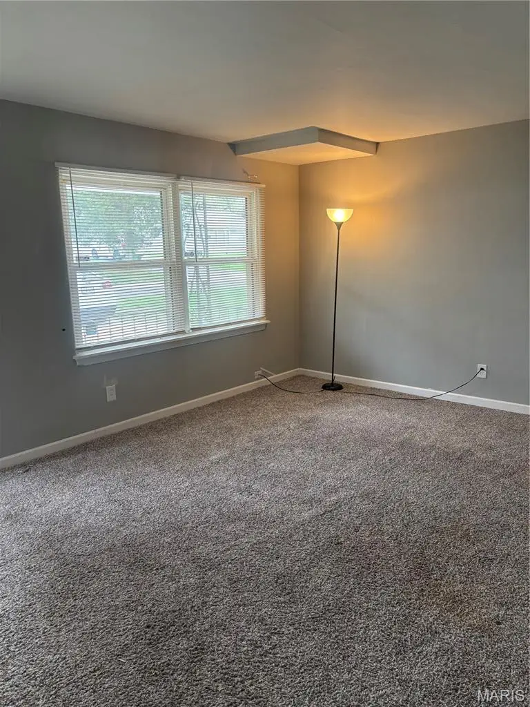 9836 Lorna Lane, Saint Louis, MO 63136 - #2