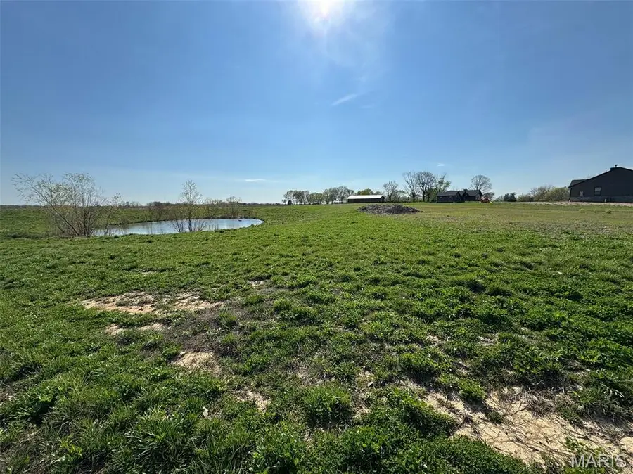 12666 Harvest View Lane, Highland, IL 62249 - #2