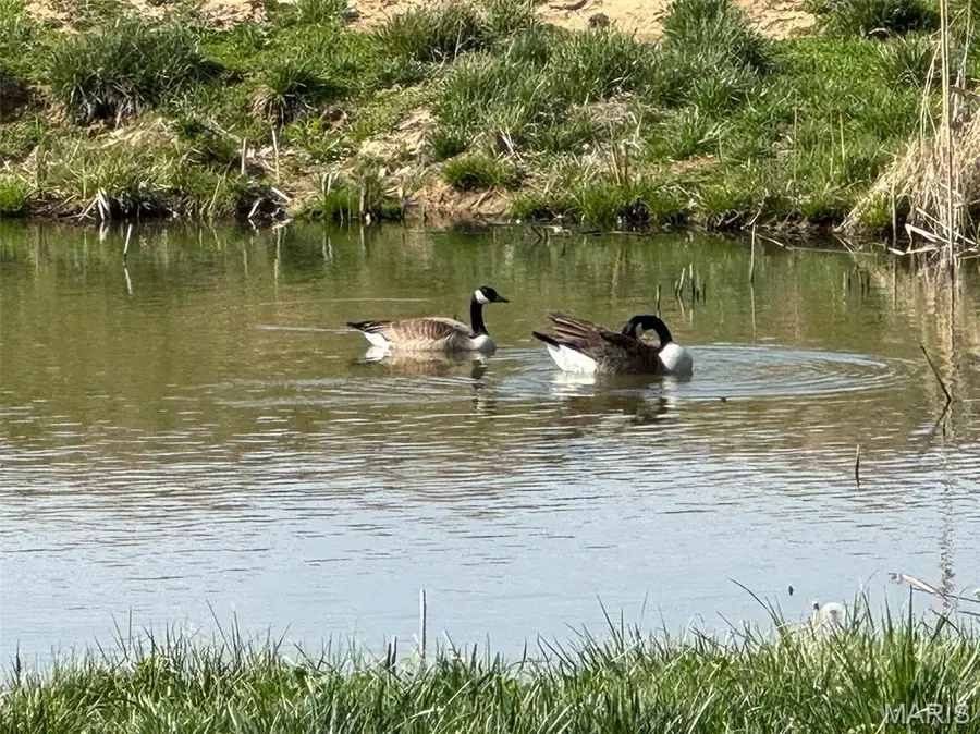 12666 Harvest View Lane, Highland, IL 62249 - #3