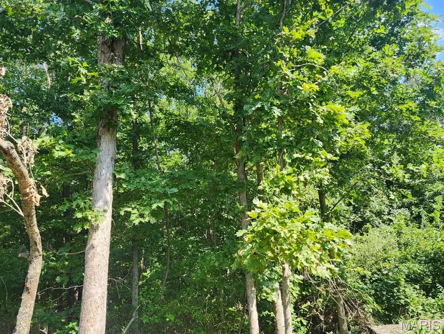 000 M- Girlstown Road, Mountain Grove, MO 65711 - #3