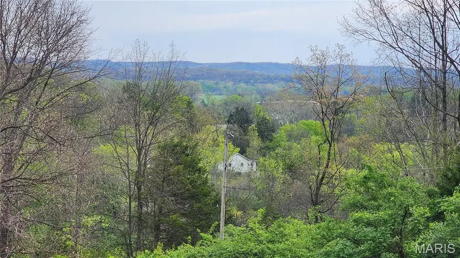 19 Pine Lane, Cedar Hill, MO 63016 - #3