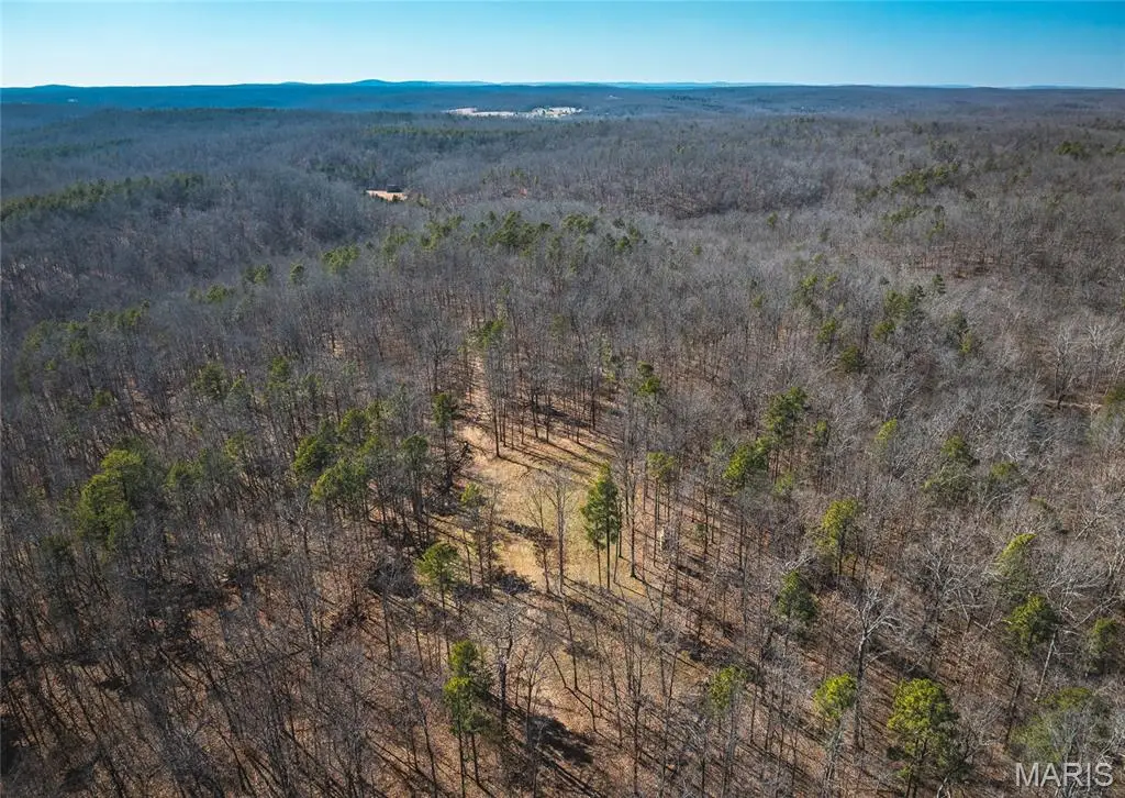 37805 State Highway Hh, Patton, MO 63662 - #1