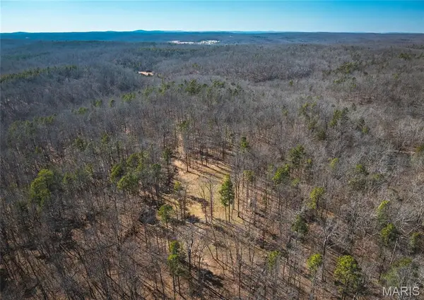 37805 State Highway Hh, Patton, MO 63662