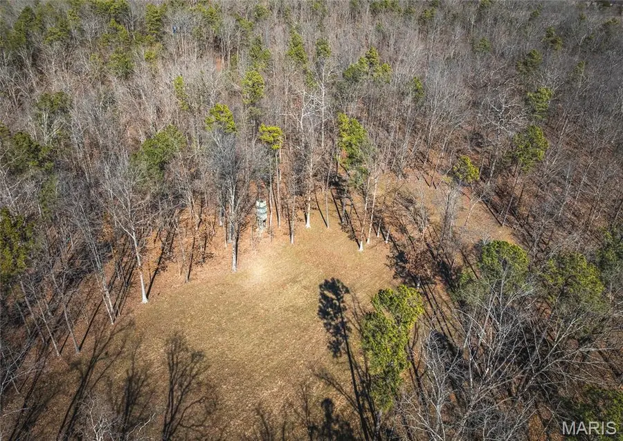 37805 State Highway Hh, Patton, MO 63662 - #2