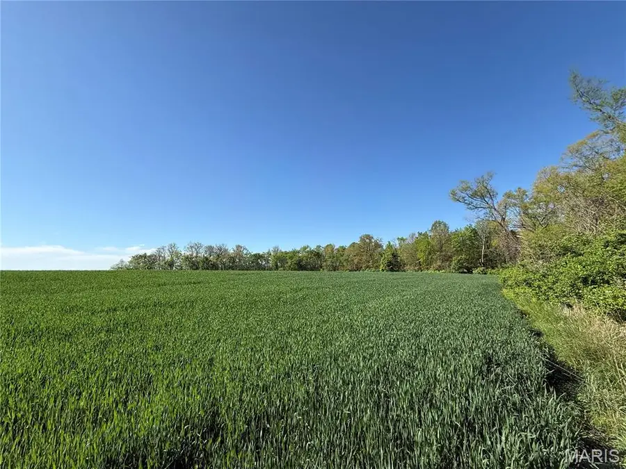 000 Vandebrook Drive, Waterloo, IL 62298 - #3