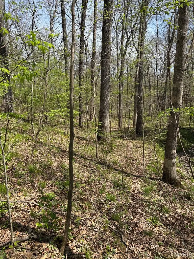 000 Metcalf Road, Iuka, IL 62849 - #1