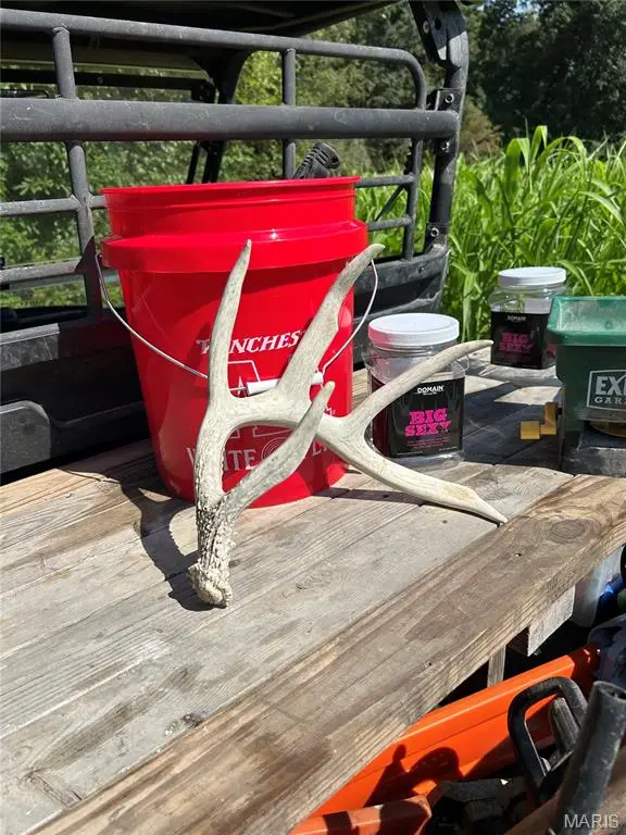 000 Metcalf Road, Iuka, IL 62849 - #2