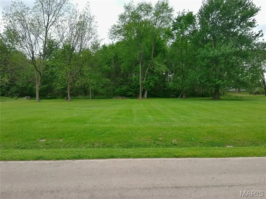 o Hidden Meadows Lane, Dexter, MO 63841 - #2