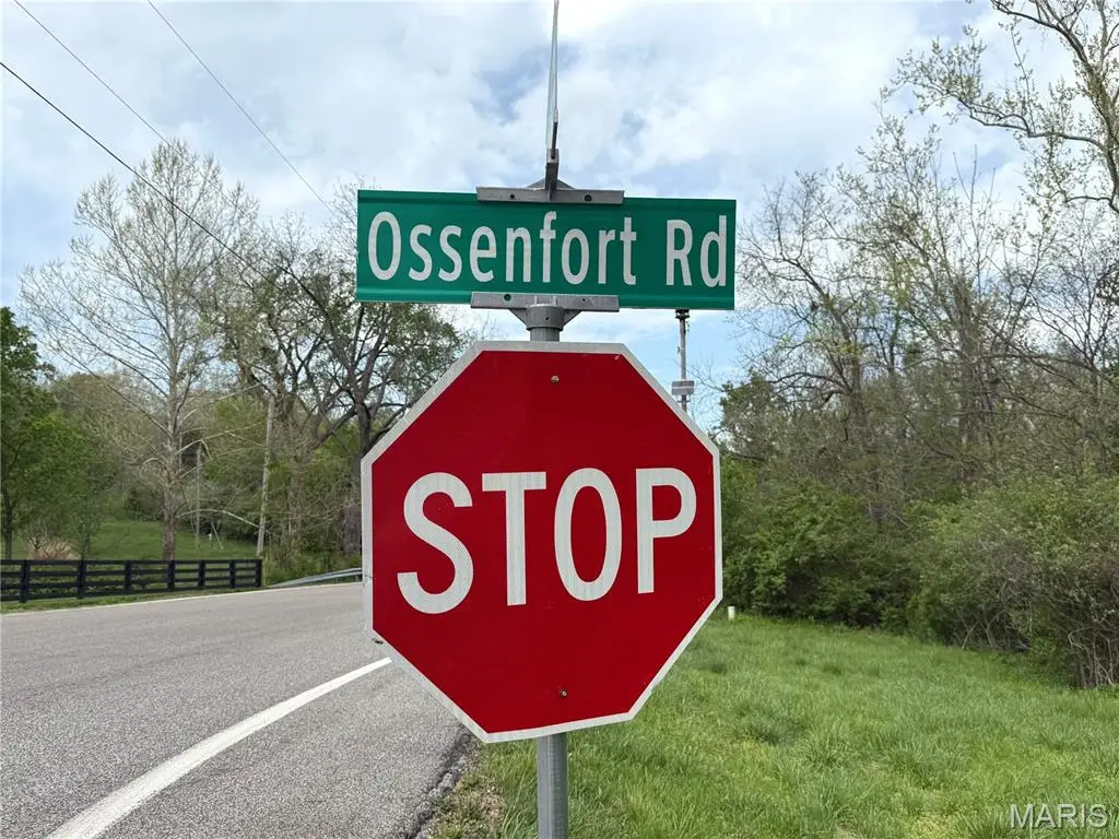 2500 Ossenfort Road, Wildwood, MO 63038 - #1