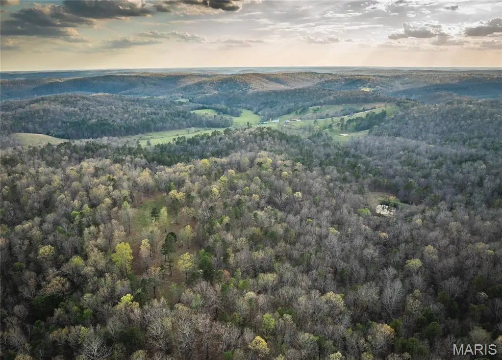 000 Whiteacre Run, Newton, MO 65560 - #1