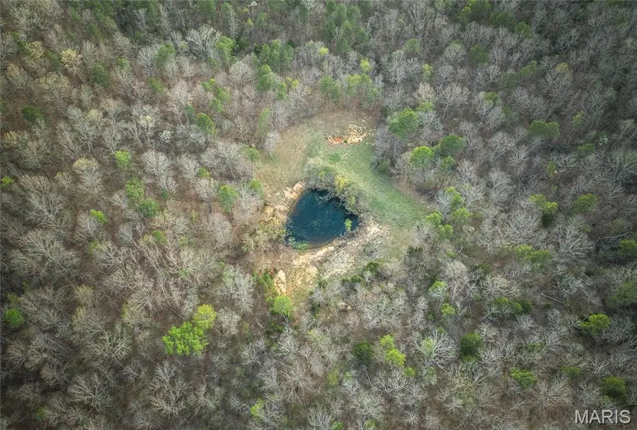 000 Whiteacre Run, Newton, MO 65560 - #2