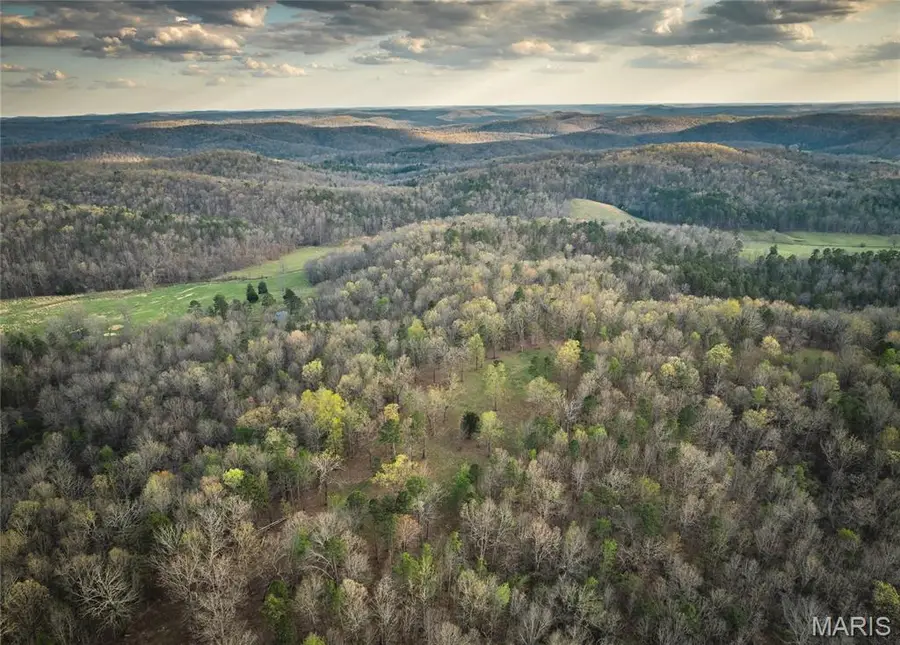 000 Whiteacre Run, Newton, MO 65560 - #3