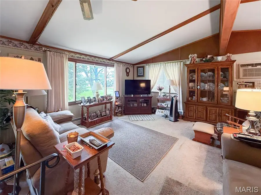 405 W Highway 19, Center, MO 63436 - #3