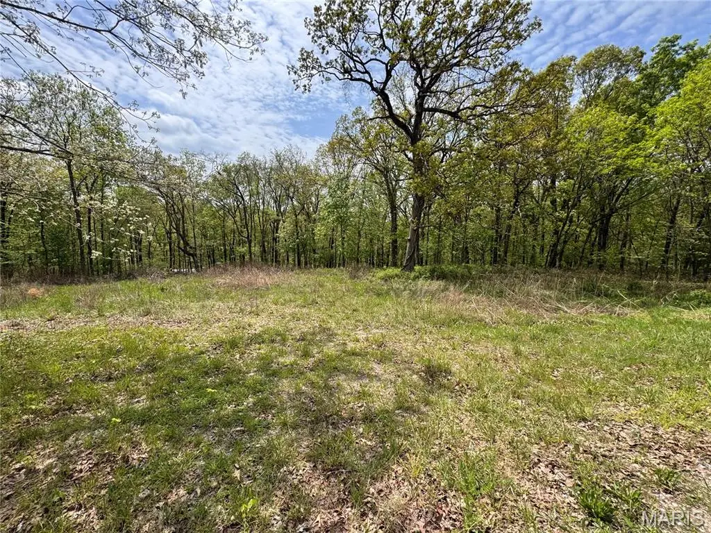 195 Stoney Point Drive, Whitewater, MO 63785 - #1