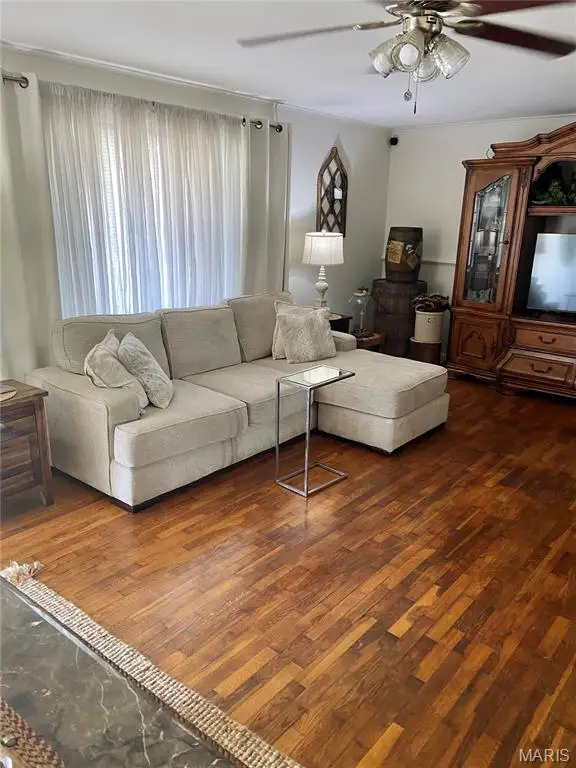 110 E Carter Street, Dexter, MO 63841 - #2