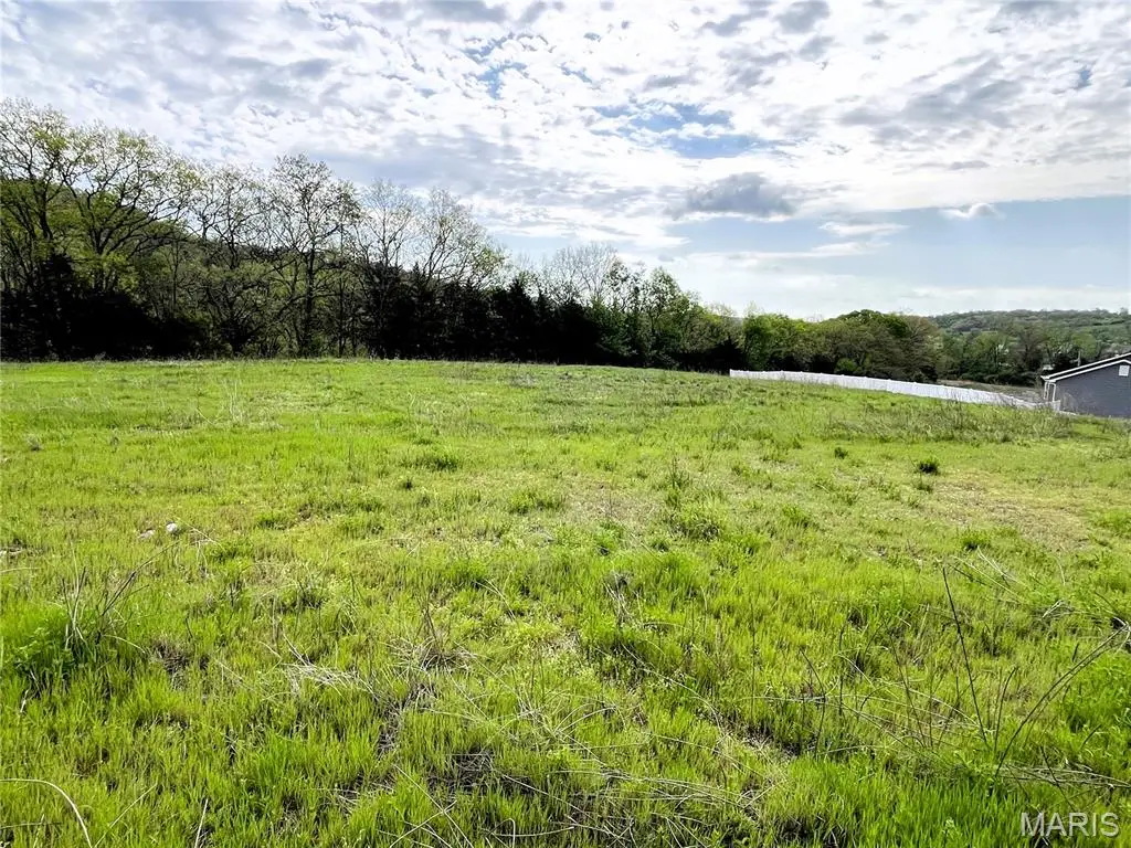 3513 Butler Valley Drive, Imperial, MO 63052 - #1