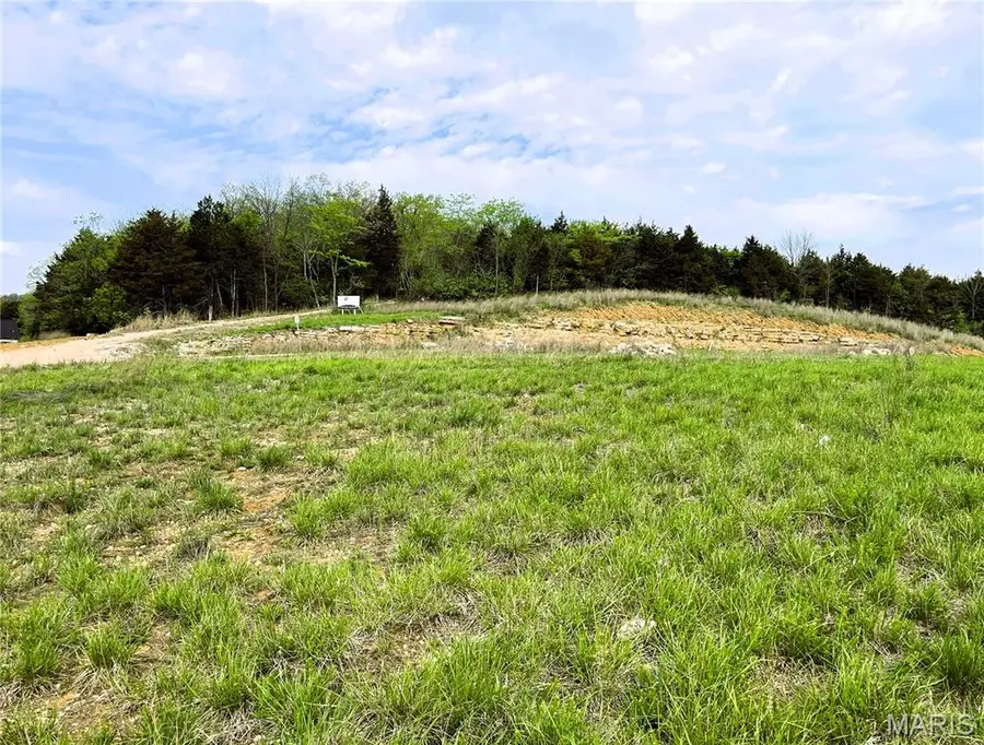 3513 Butler Valley Drive, Imperial, MO 63052 - #2