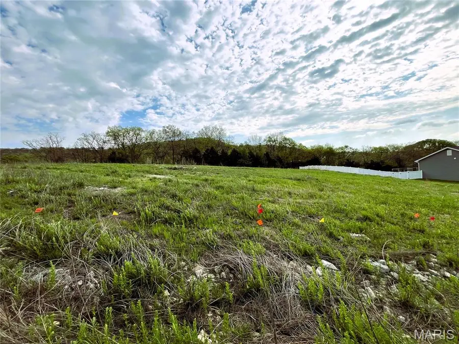 3513 Butler Valley Drive, Imperial, MO 63052 - #3