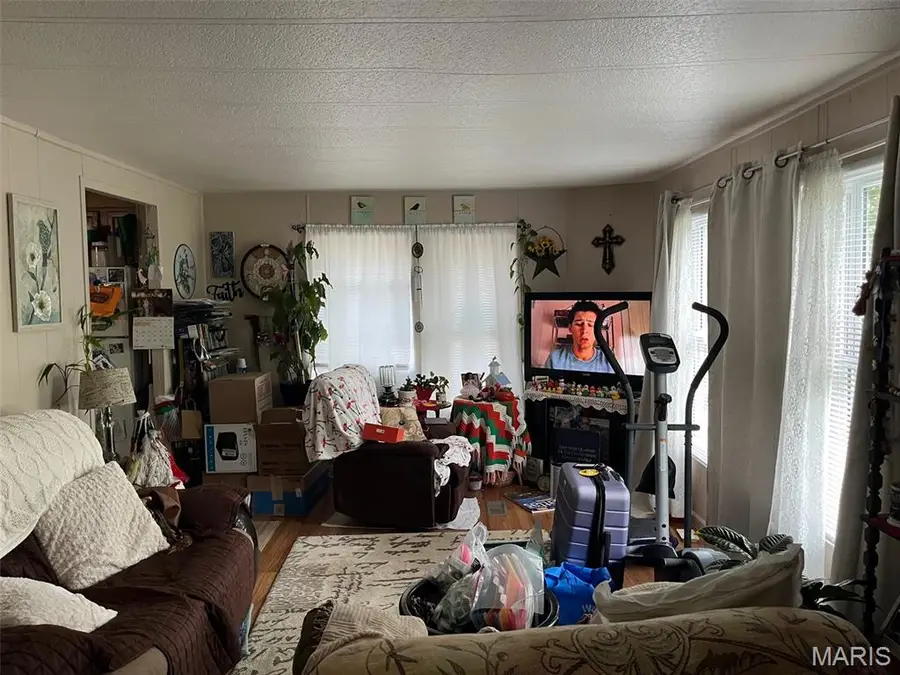 310, 312,316 Beckville Road, Piedmont, MO 63957 - #2