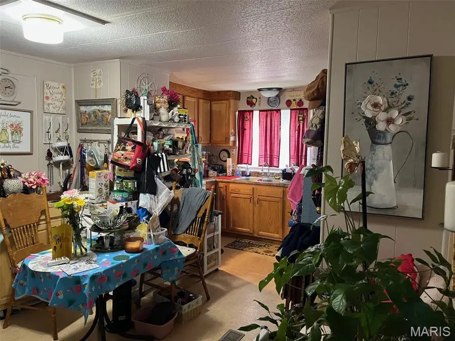 310, 312,316 Beckville Road, Piedmont, MO 63957 - #3