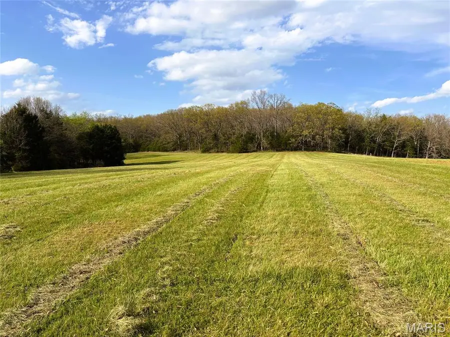 6.5 Acres Laffoon Ln, Linn, MO 65051 - #2
