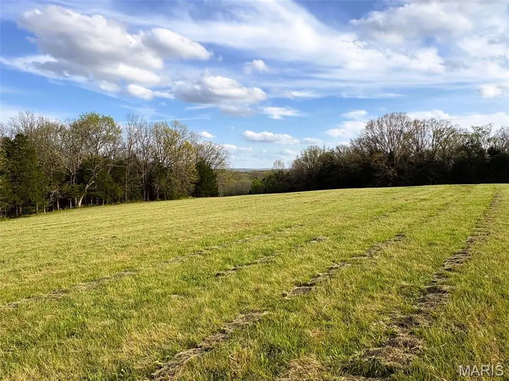 9.9 Acres Laffoon Ln, Linn, MO 65051 - #1