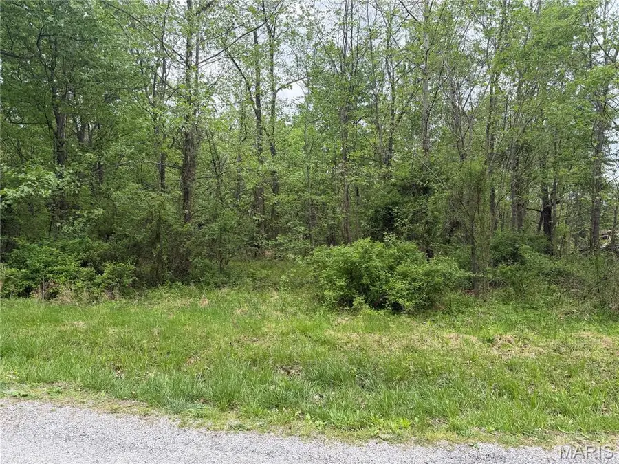 11 Choctaw Dr, Carbondale, IL 62901 - #2