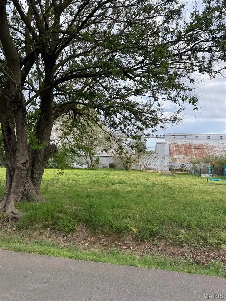 Lots 4 and 5 Bradley, Kennett, MO 63857 - #1