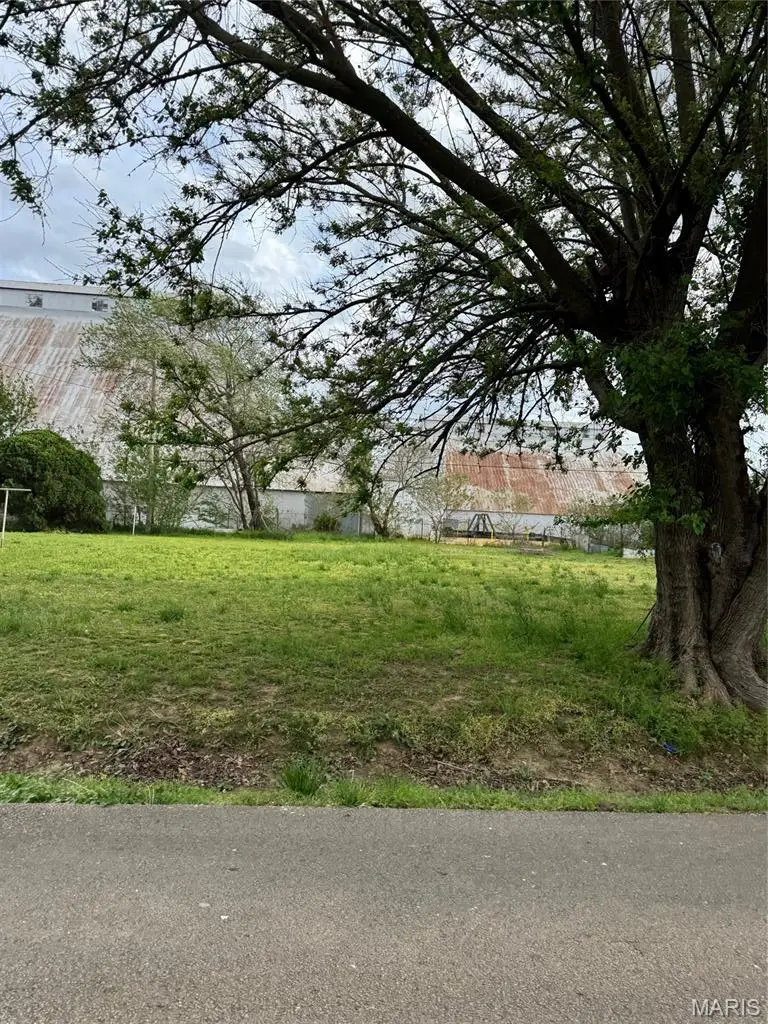 Lots 4 and 5 Bradley, Kennett, MO 63857 - #2