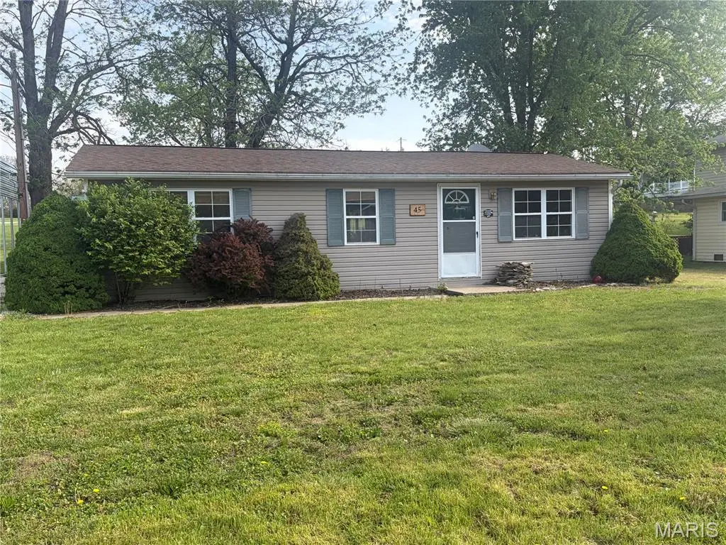 45 N Lake Drive, Leslie, MO 63056 - #1