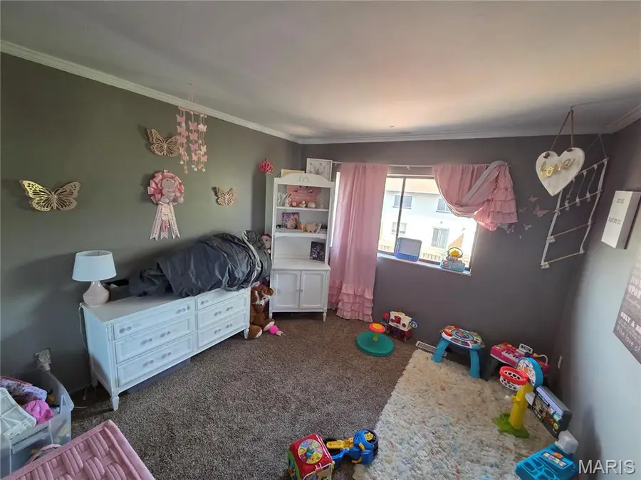 314 Carmel Woods Drive, Ellisville, MO 63021 - #2