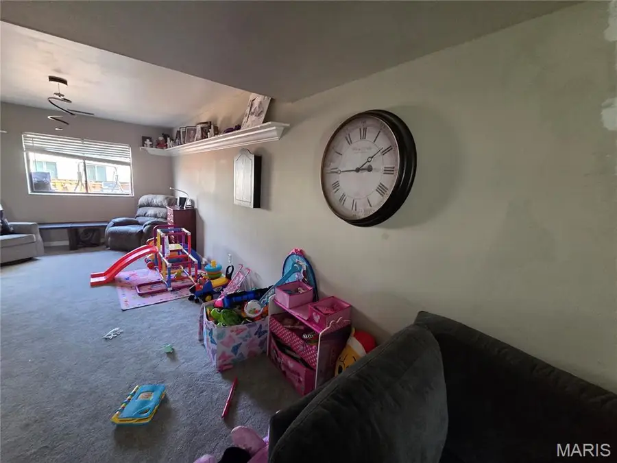 314 Carmel Woods Drive, Ellisville, MO 63021 - #3