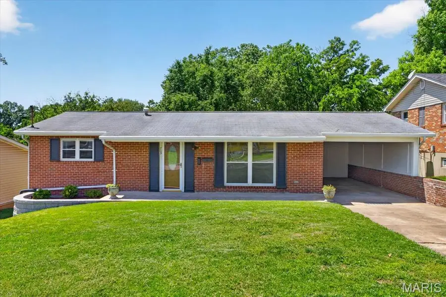 705 Mueller Road, Festus, MO 63028 - #2