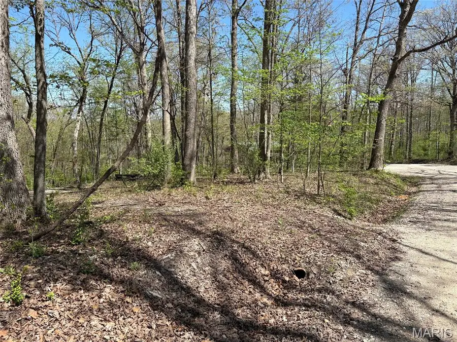 127 Skyline Drive S, New Florence, MO 63363 - #2