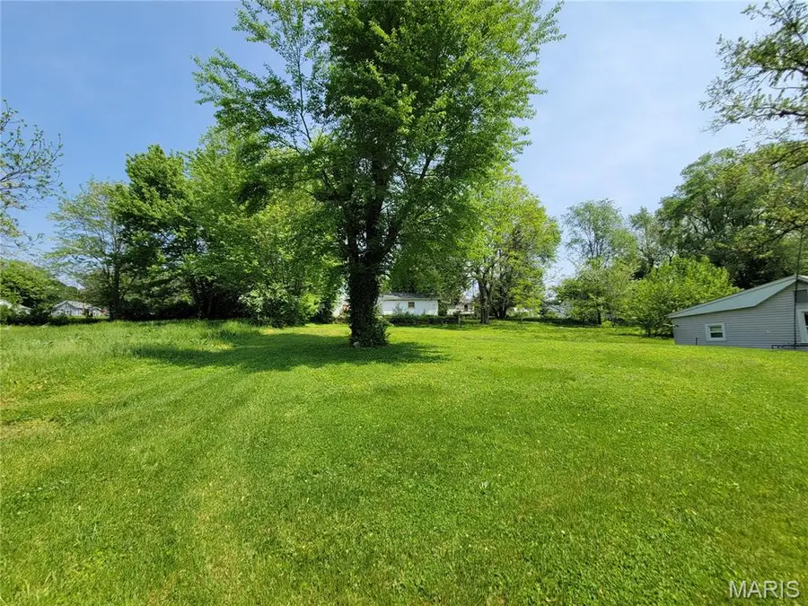 1013 Texas Street, Louisiana, MO 63353 - #2