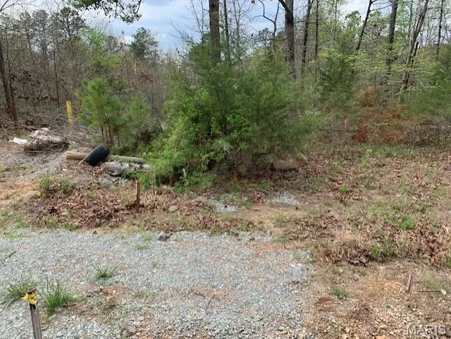 0 County Rd 229, Fredericktown, MO 63645 - #2