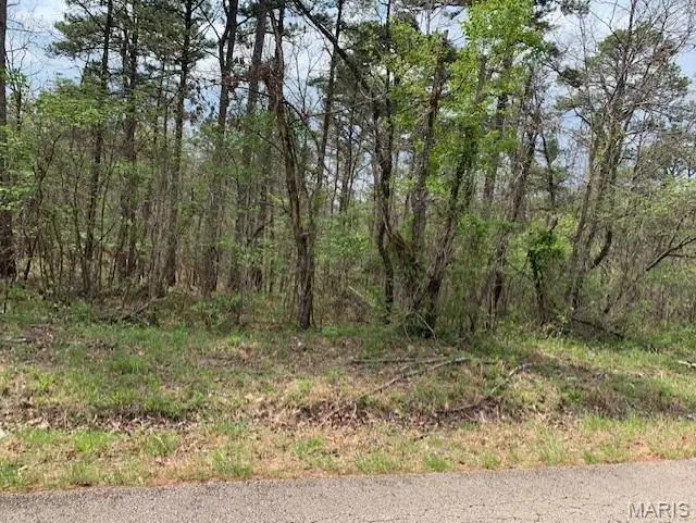 0 County Rd 229, Fredericktown, MO 63645 - #3